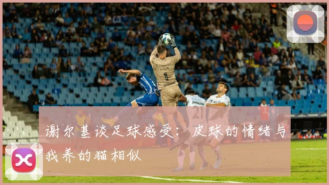谢尔基谈足球感受：皮球的情绪与我养的猫相似