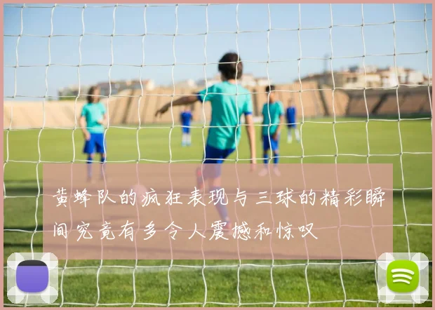 黄蜂队的疯狂表现与三球的精彩瞬间究竟有多令人震撼和惊叹